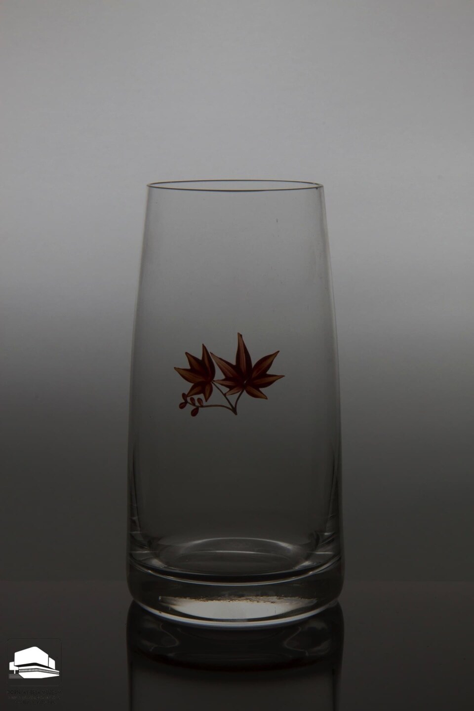 Image Not Found On Media Library