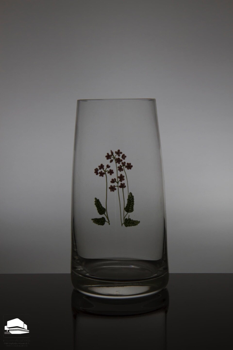 Image Not Found On Media Library