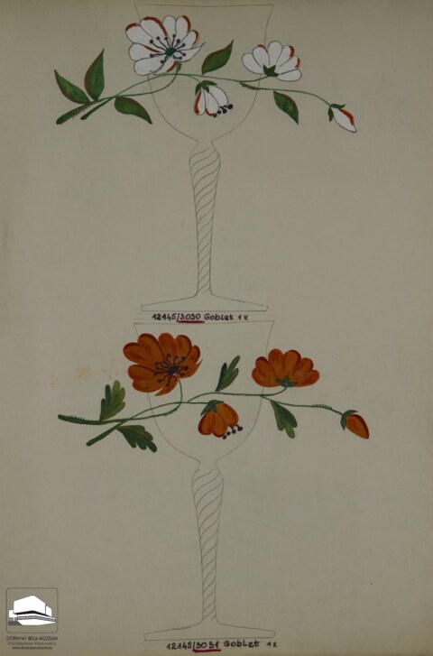 Image Not Found On Media Library