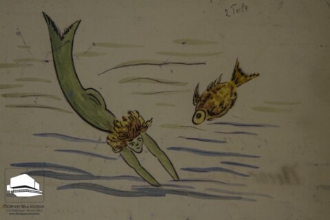 Image Not Found On Media Library