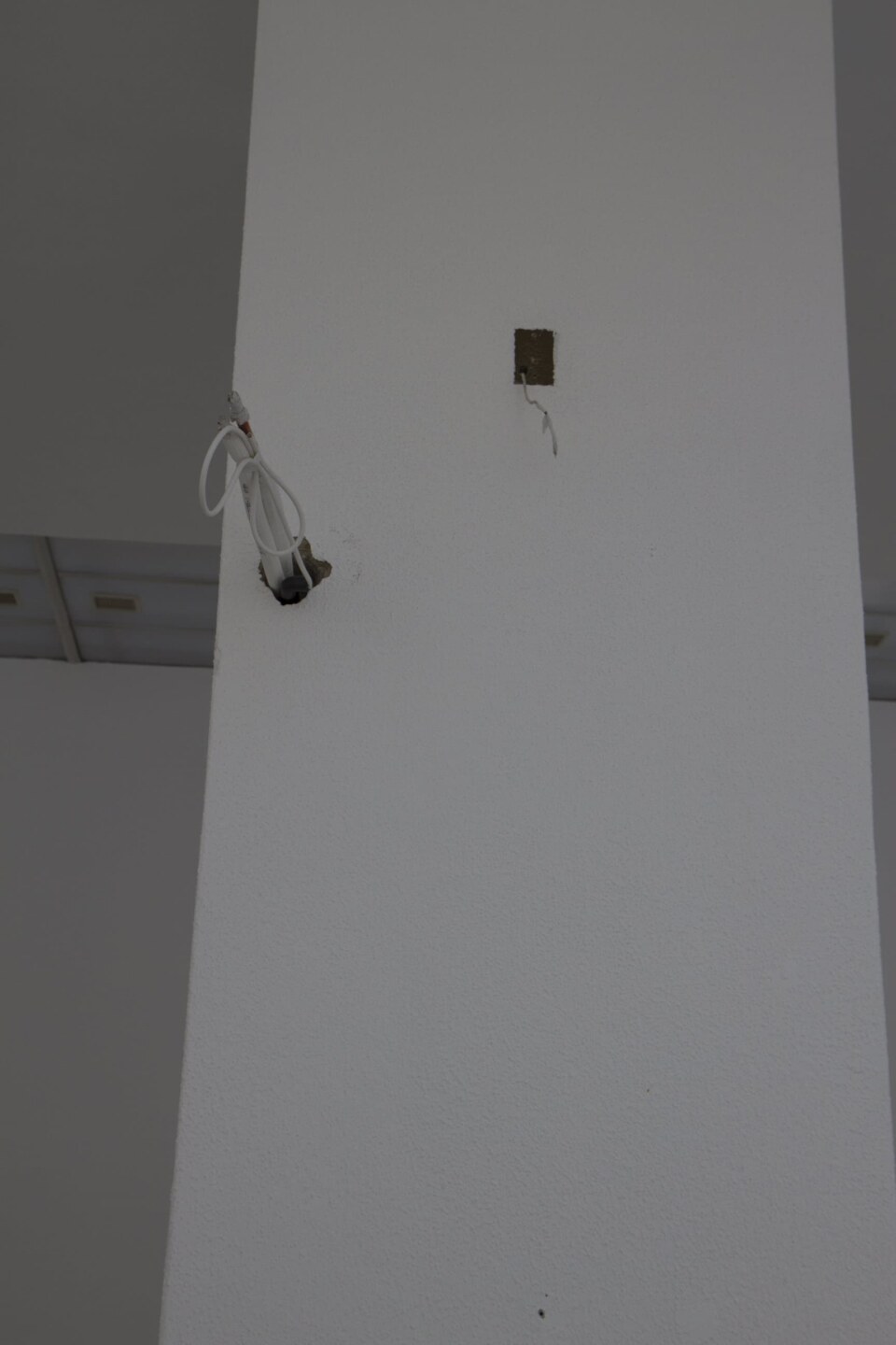 Image Not Found On Media Library