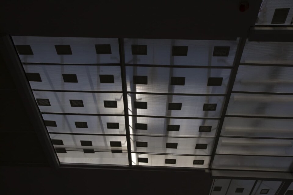 Image Not Found On Media Library