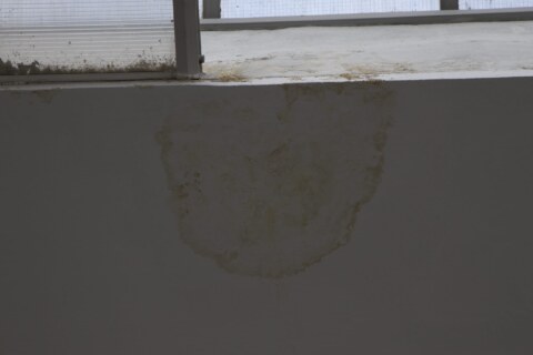 Image Not Found On Media Library