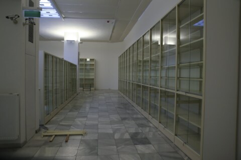 Image Not Found On Media Library